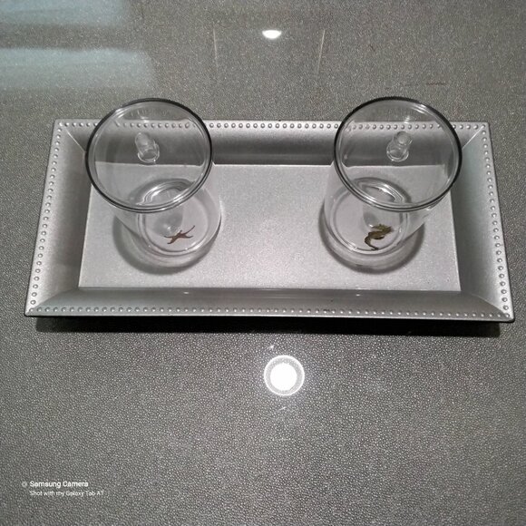 Bathroom Vanity Mattt Silver Tray, 2 Ocean Themed Q-Tip, Cotton Ball Containers - Picture 2 of 8